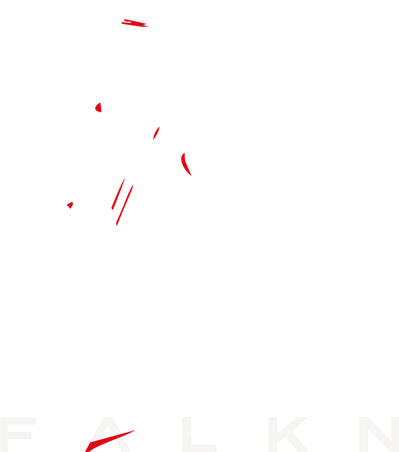 FALKN Team & Workware