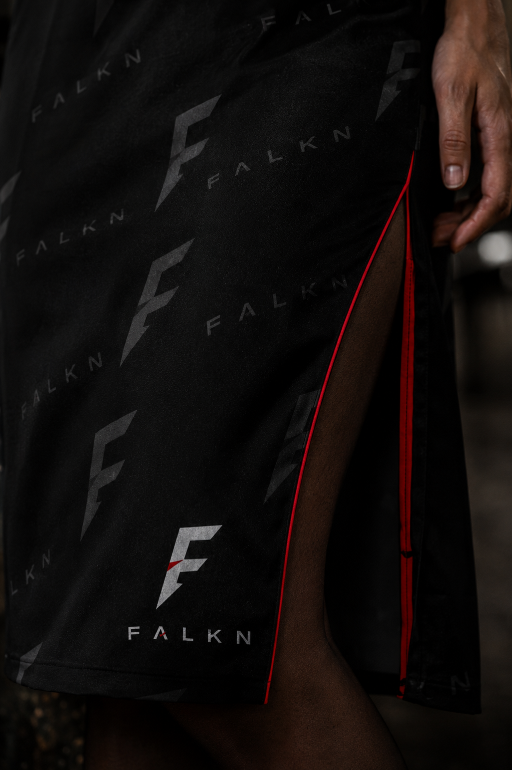 FALKN Noir Veil Dress